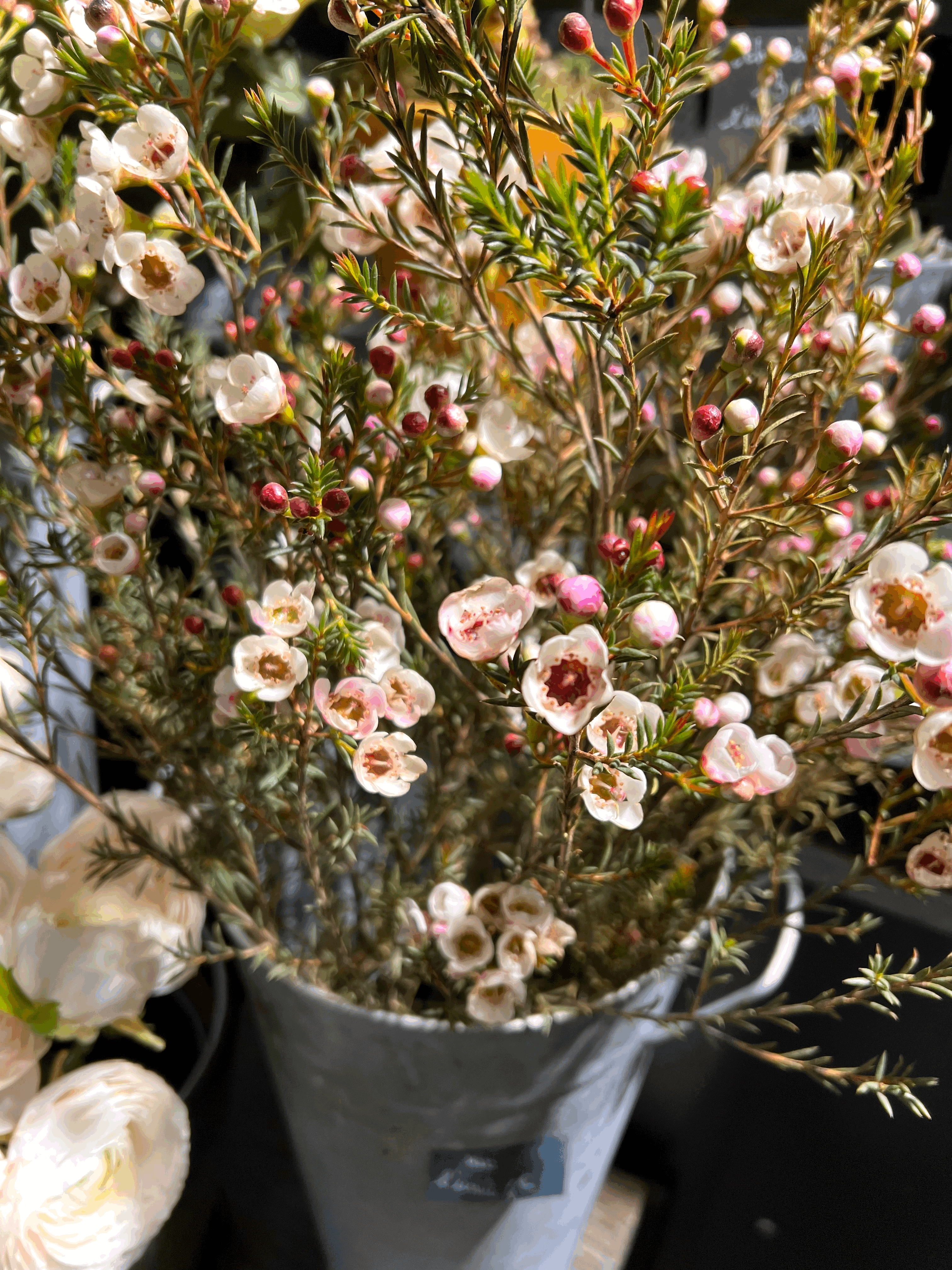 Flores pela França