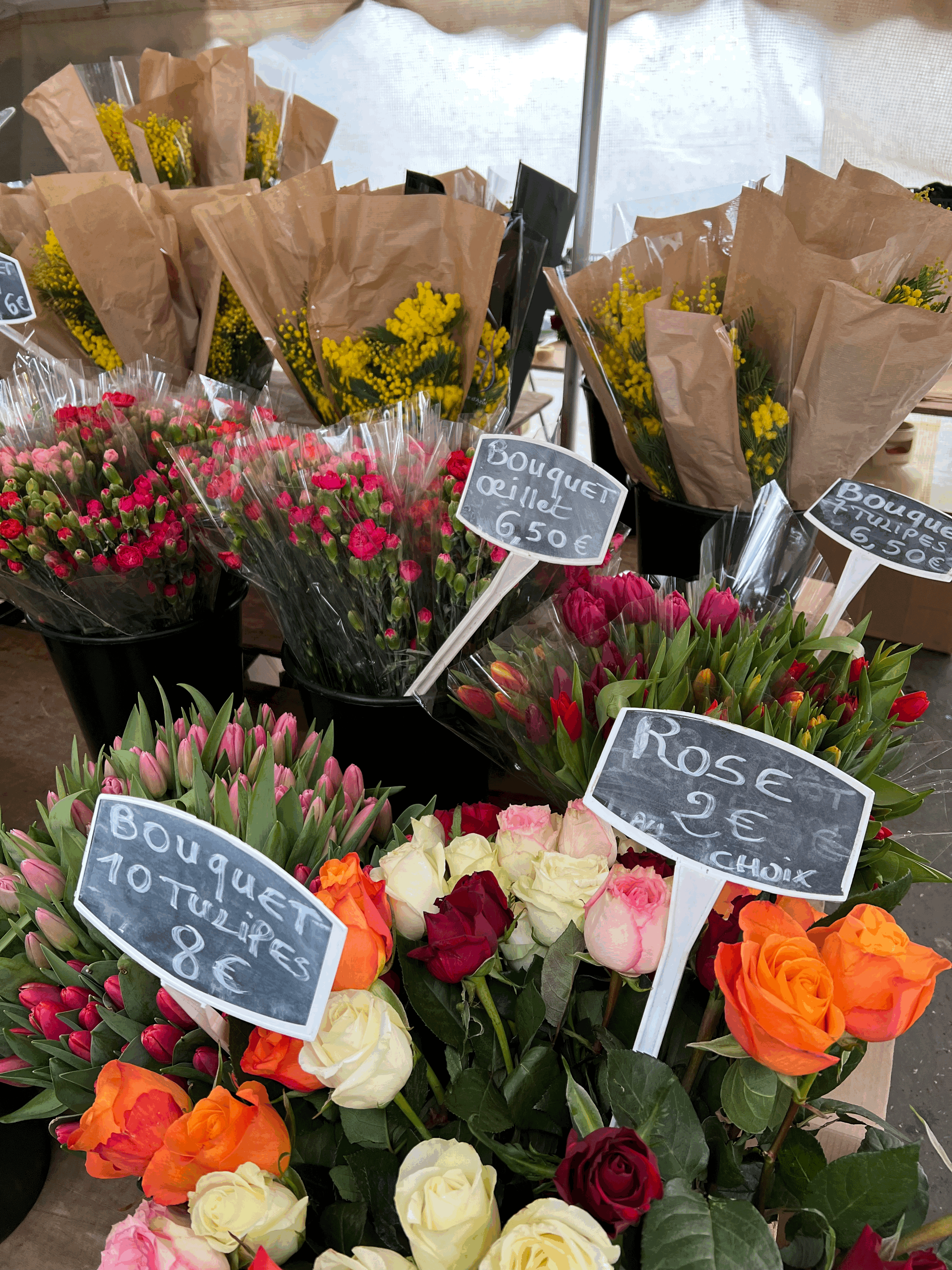 Flores pela França