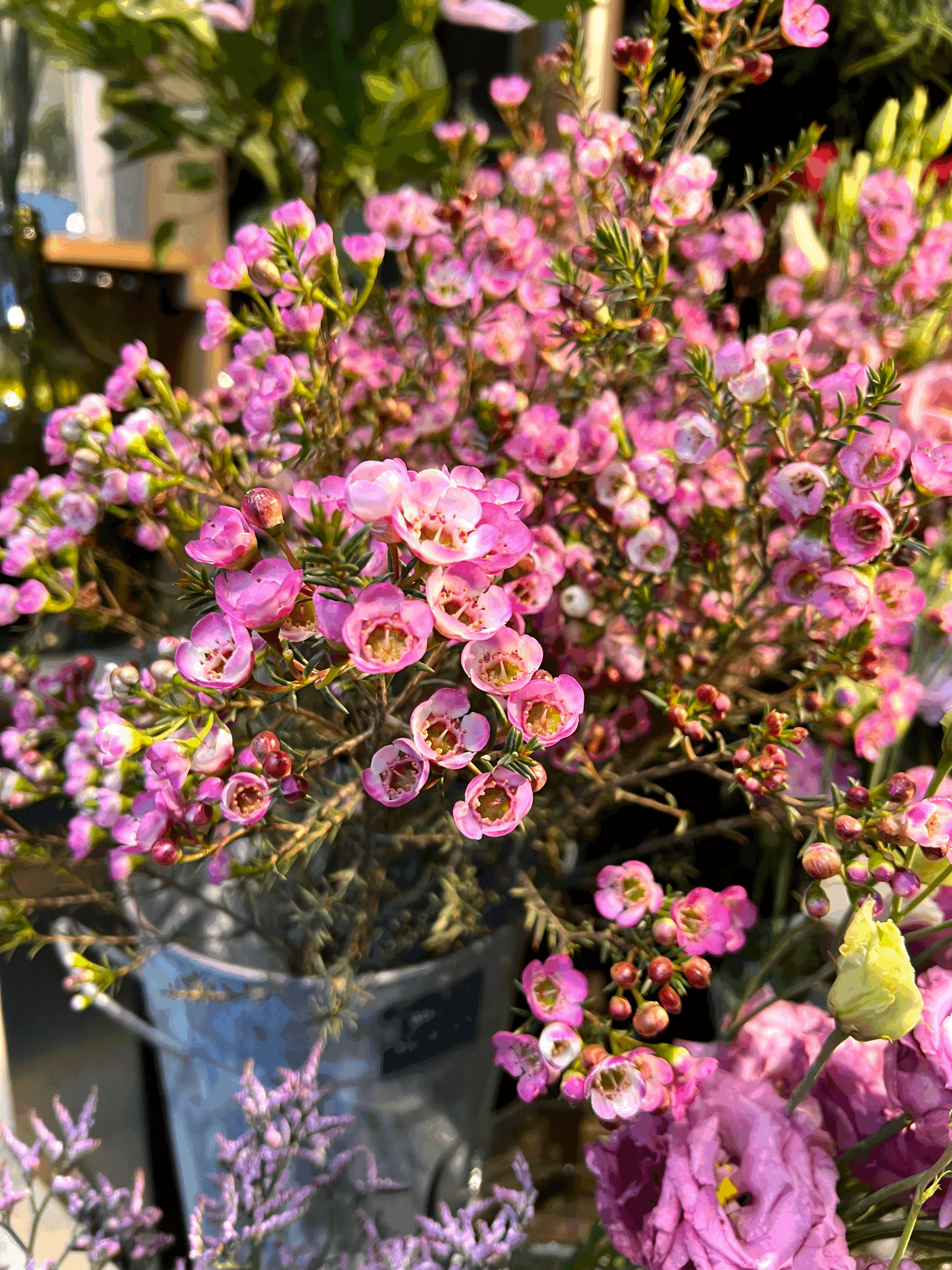 Flores pela França