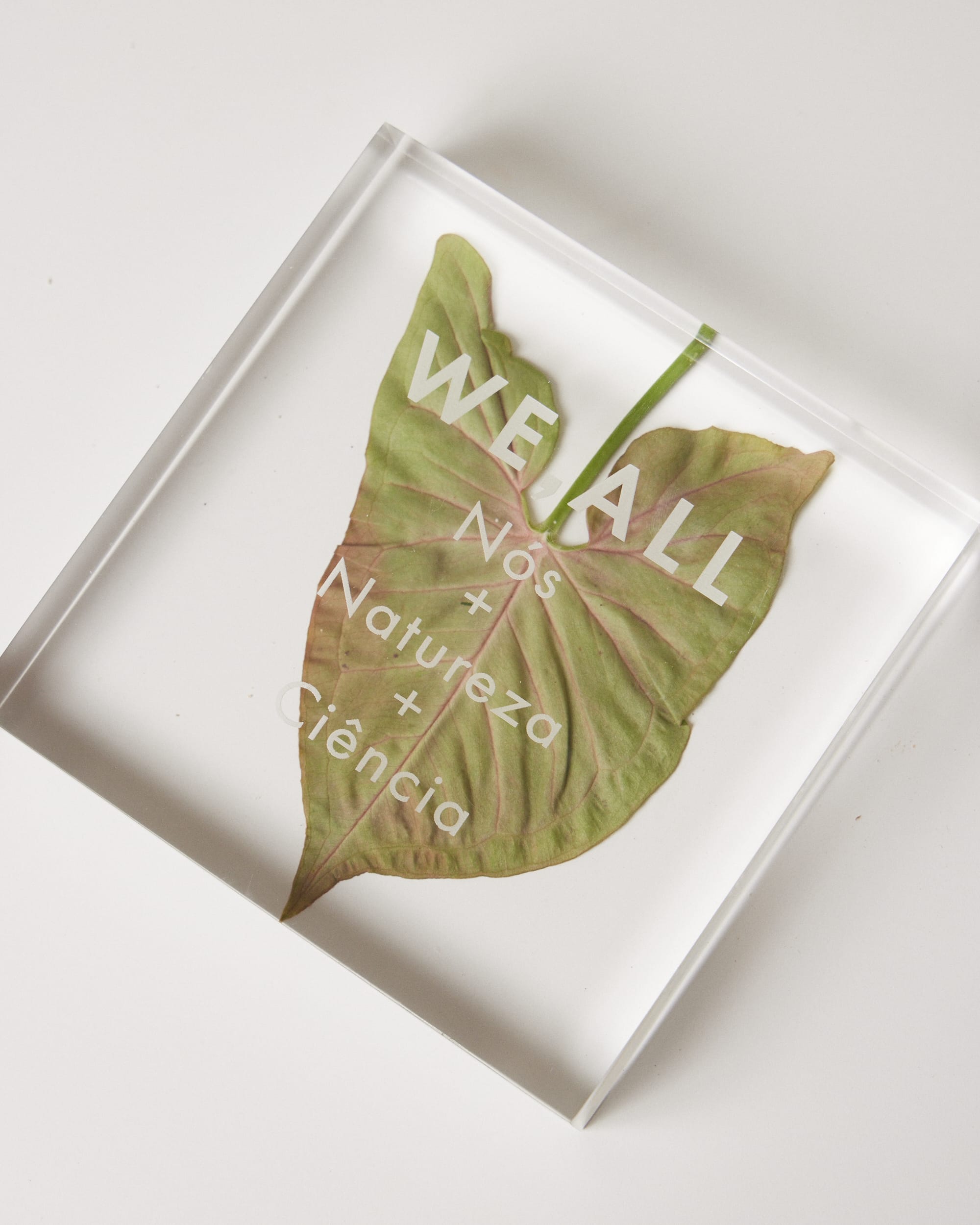 Set Design | Campanha WE,ALL Beauty