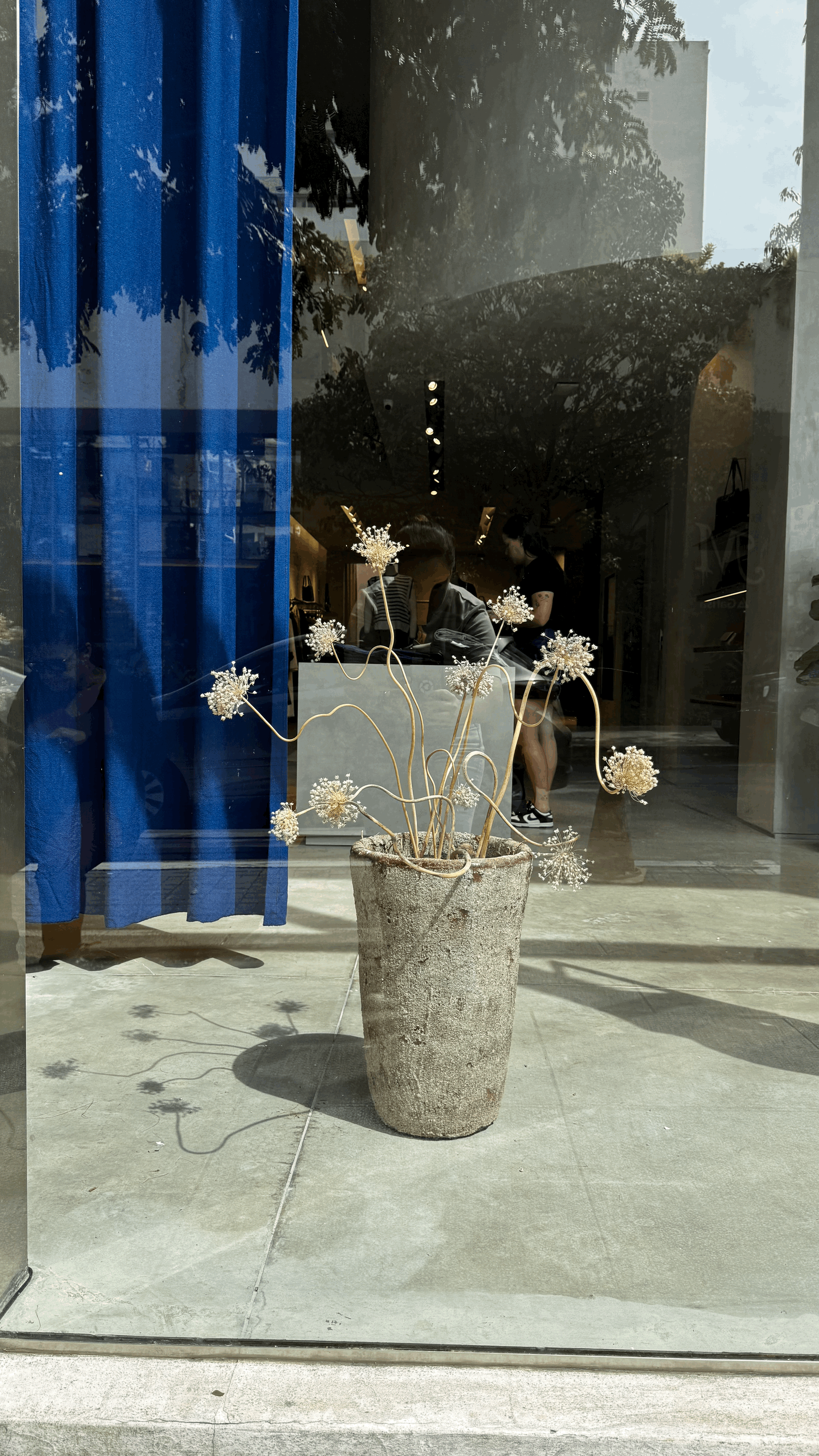Design Floral | Calvin Klein Jeans