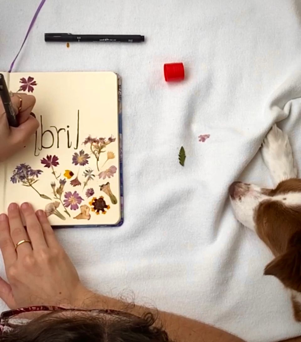 Uma pessoa escrevendo em um caderno e um cachorro no cantinho fazendo companhia